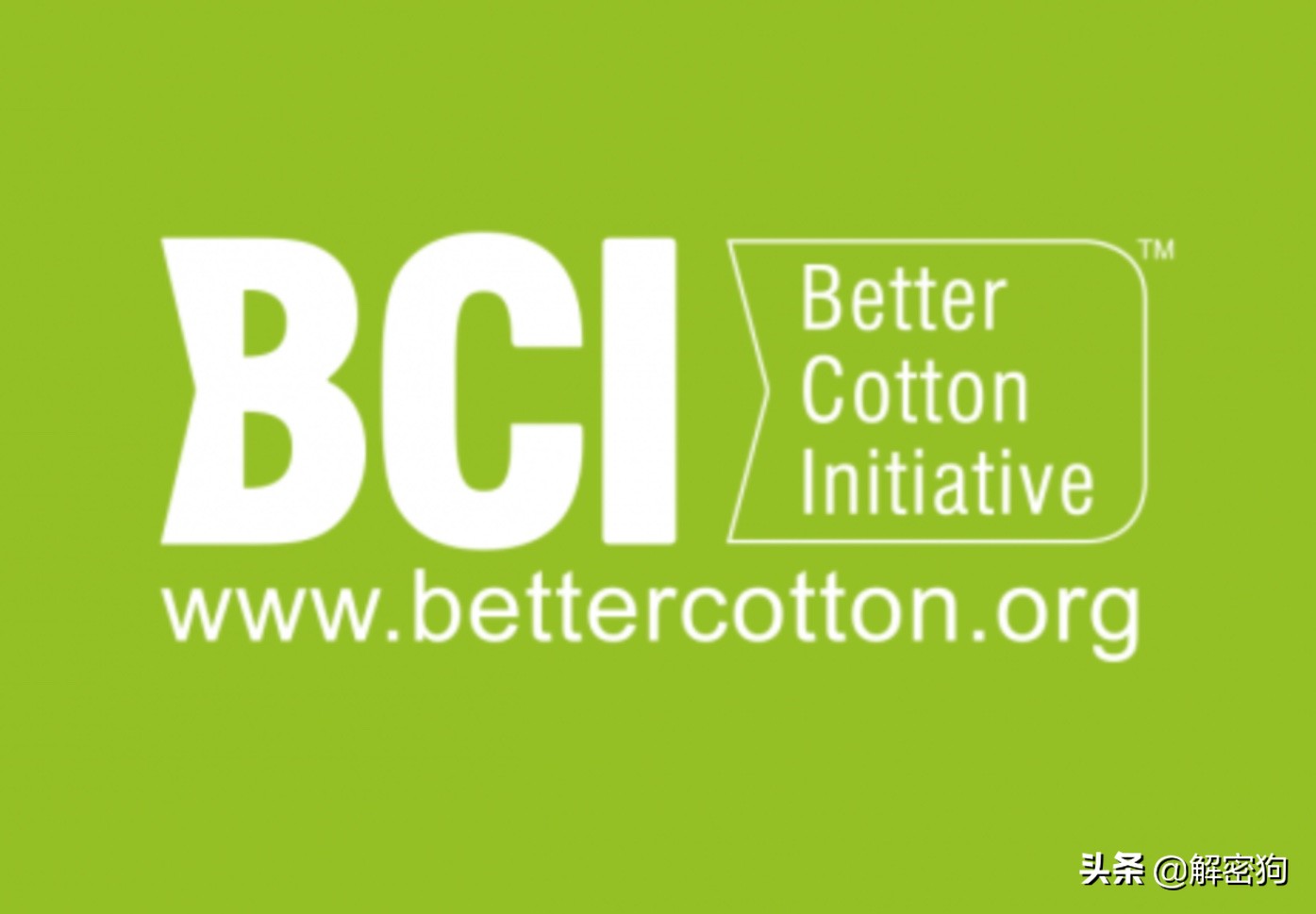 hm棉花始末,对hm棉花事件的看法线下采访