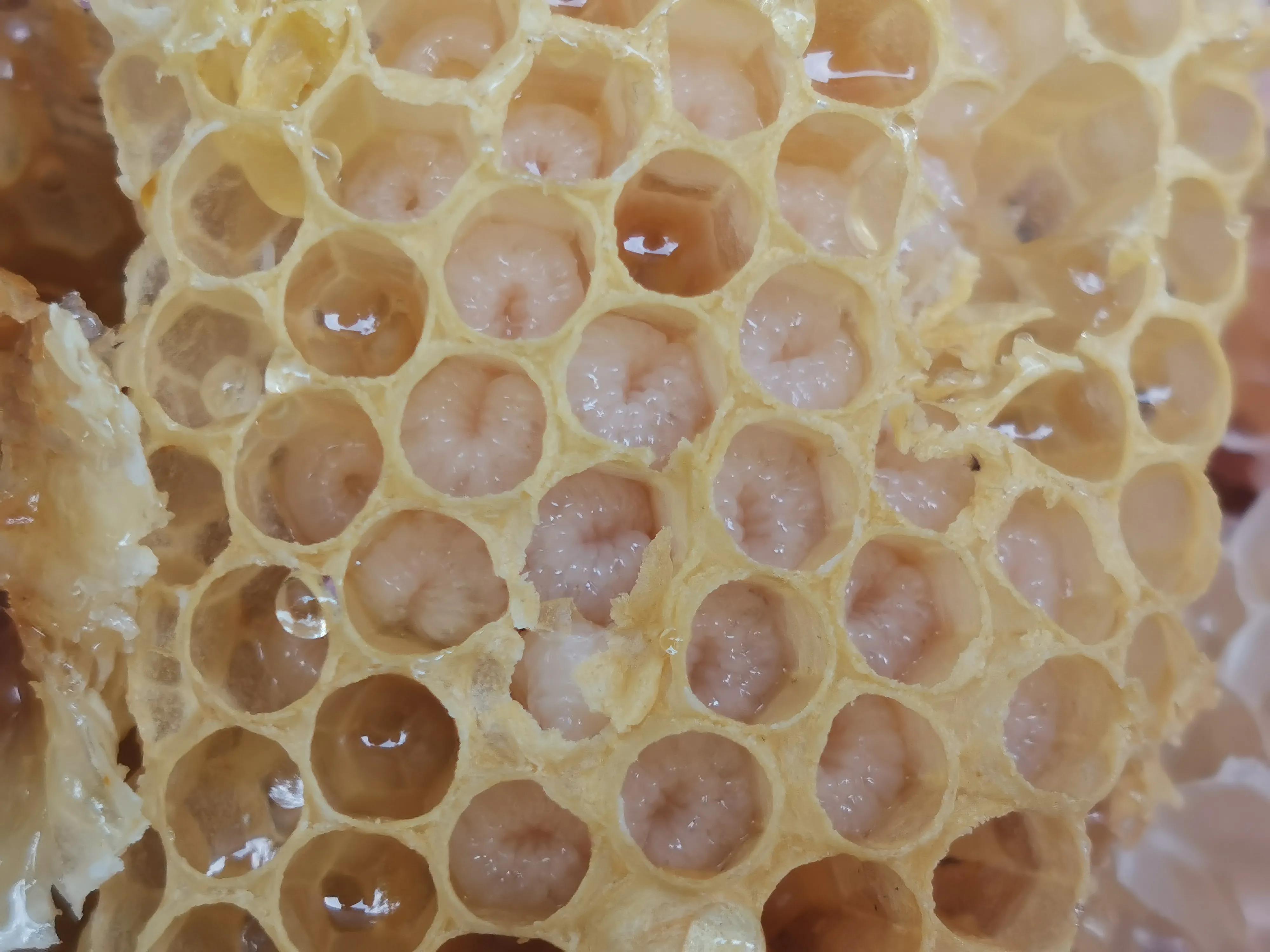 才放几天的蜂蜜就发酸腐臭了，怎么办？养蜂专家告诉你原因