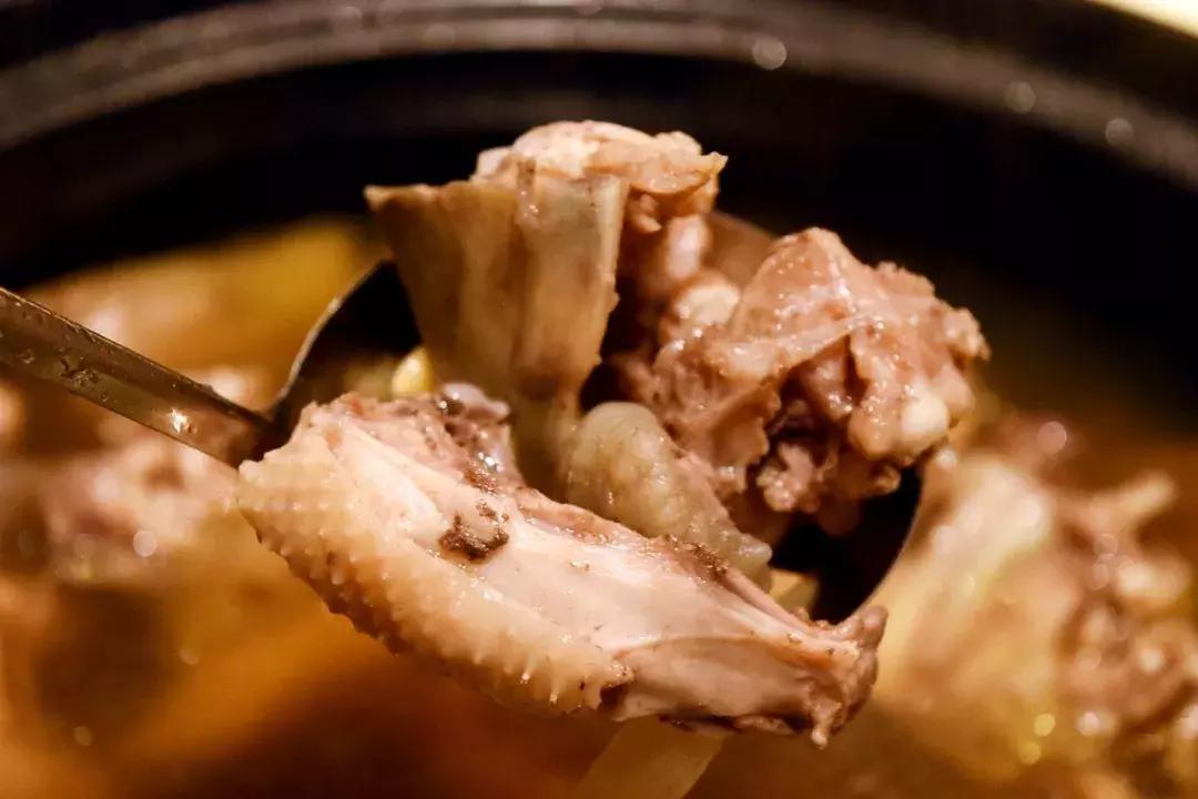 南海里水有间人气爆棚的食府,鳄鱼龟走地鸡煲只需158元!