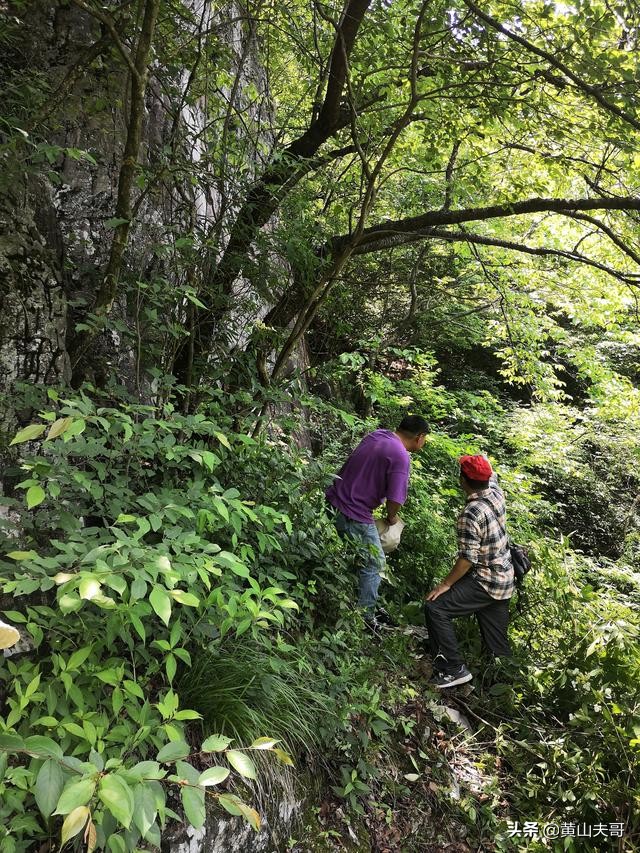 黄山最吓人景区,黄山爬山最吓人的地方