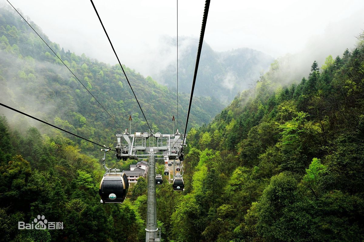 张家界一天游报价,张家界一日游大概需要多少钱