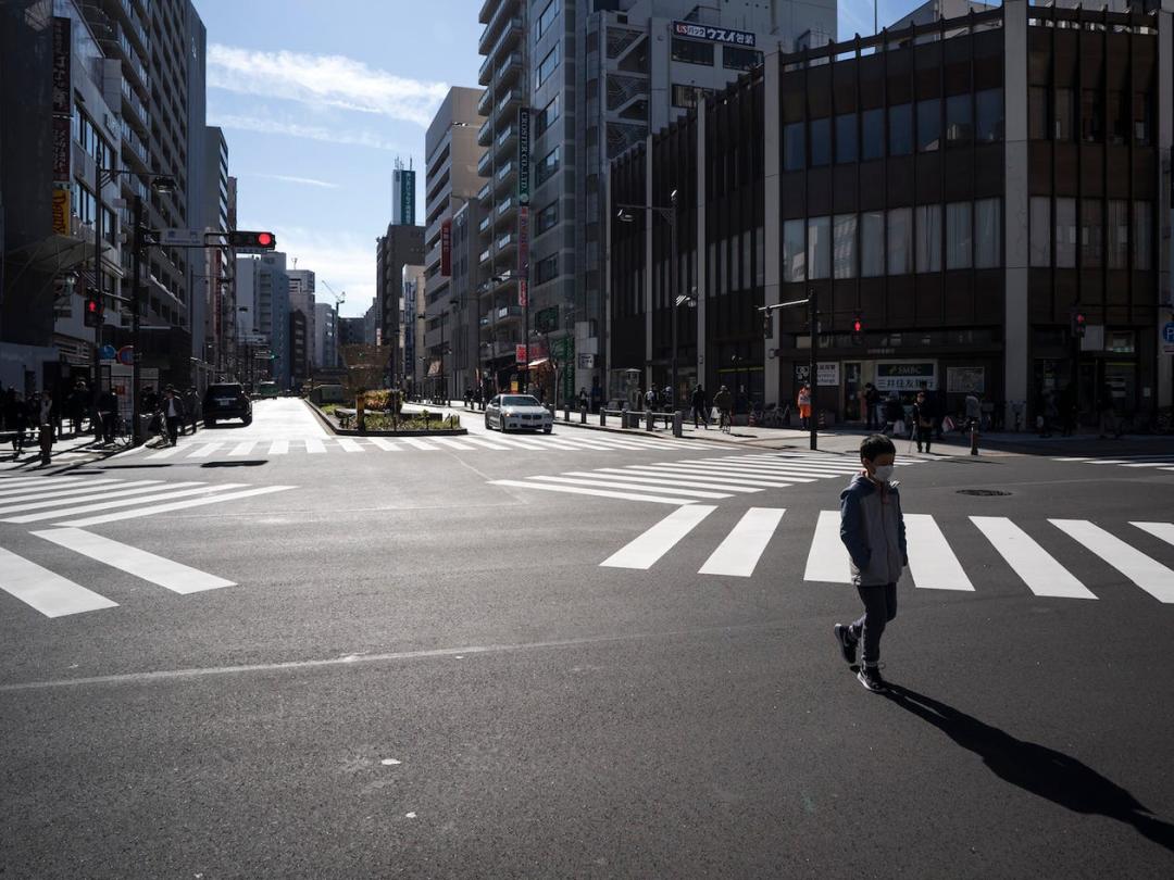 泰国大象因疫情失业徒步返乡视频,疫情过后的大象