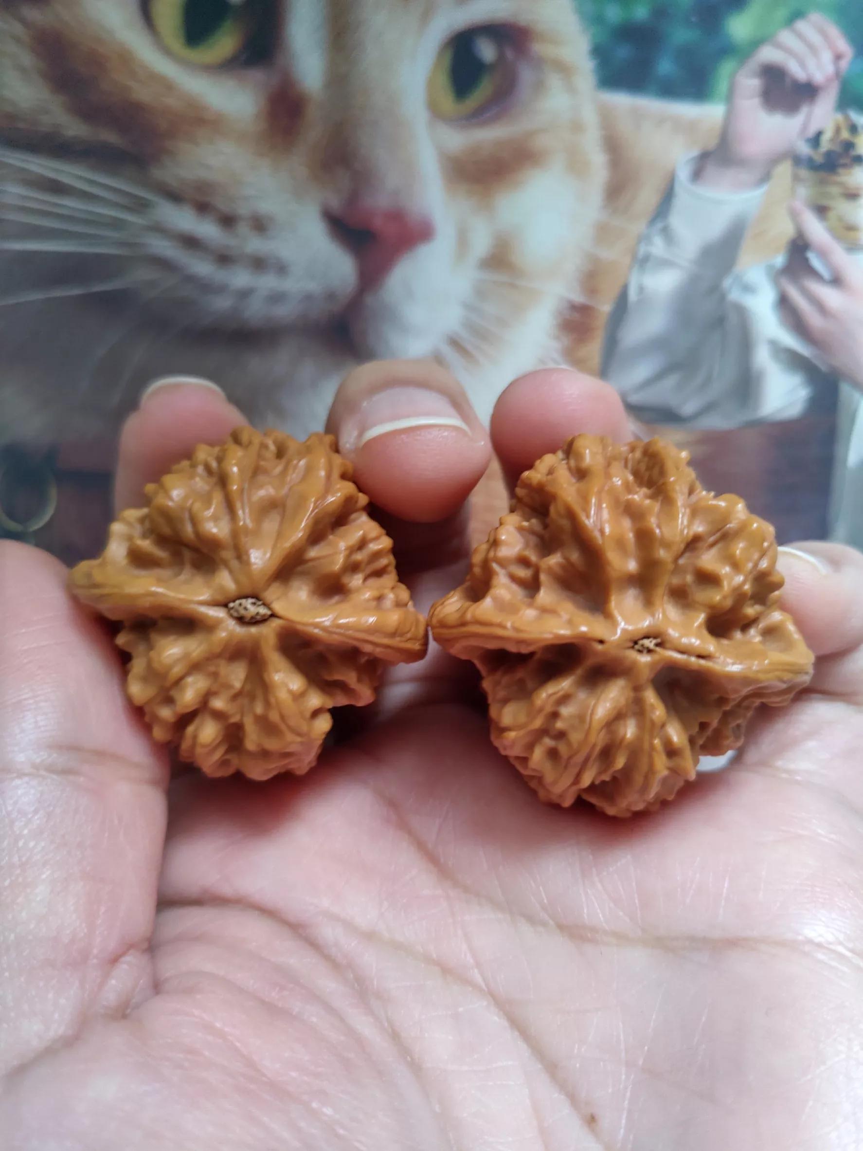 包浆的核桃被大汗手盘会怎么样,老核桃汗手盘脱浆继续盘会怎样