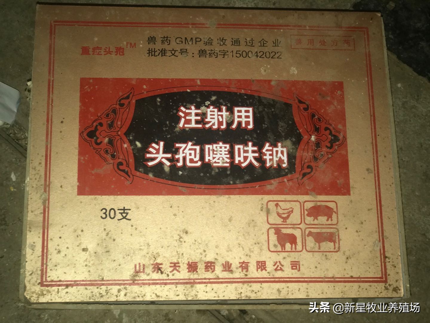 养殖羊必备药品清单表,农村养羊必备的药有哪些