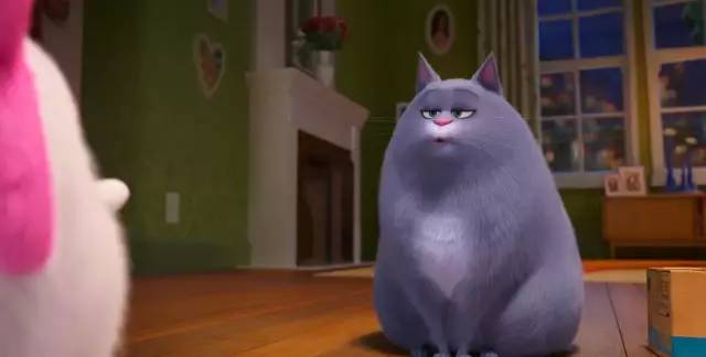 「内有赠票」被小动物萌翻,《爱宠大机密2》赶紧带上孩子去看吧