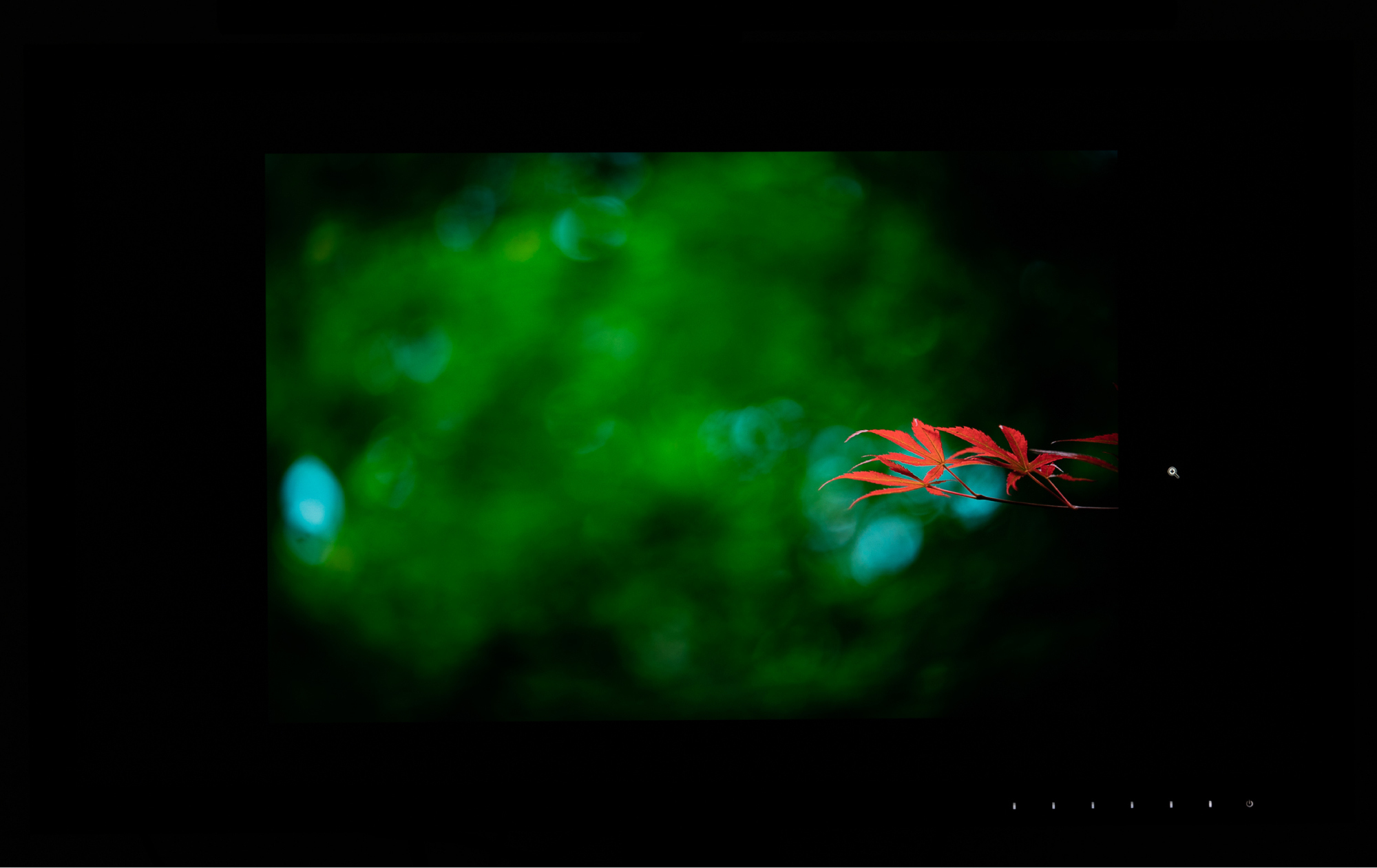 eizo最新显示器,eizo顶级显示器