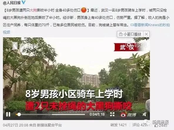 与狗狗玩耍时不小心被狗狗刮伤,养狗不拴绳一家三口遭恶犬咬伤