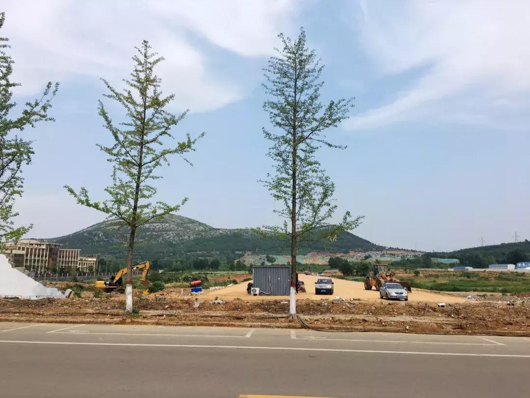 枣庄新城正在建设的房子,枣庄新城的项目