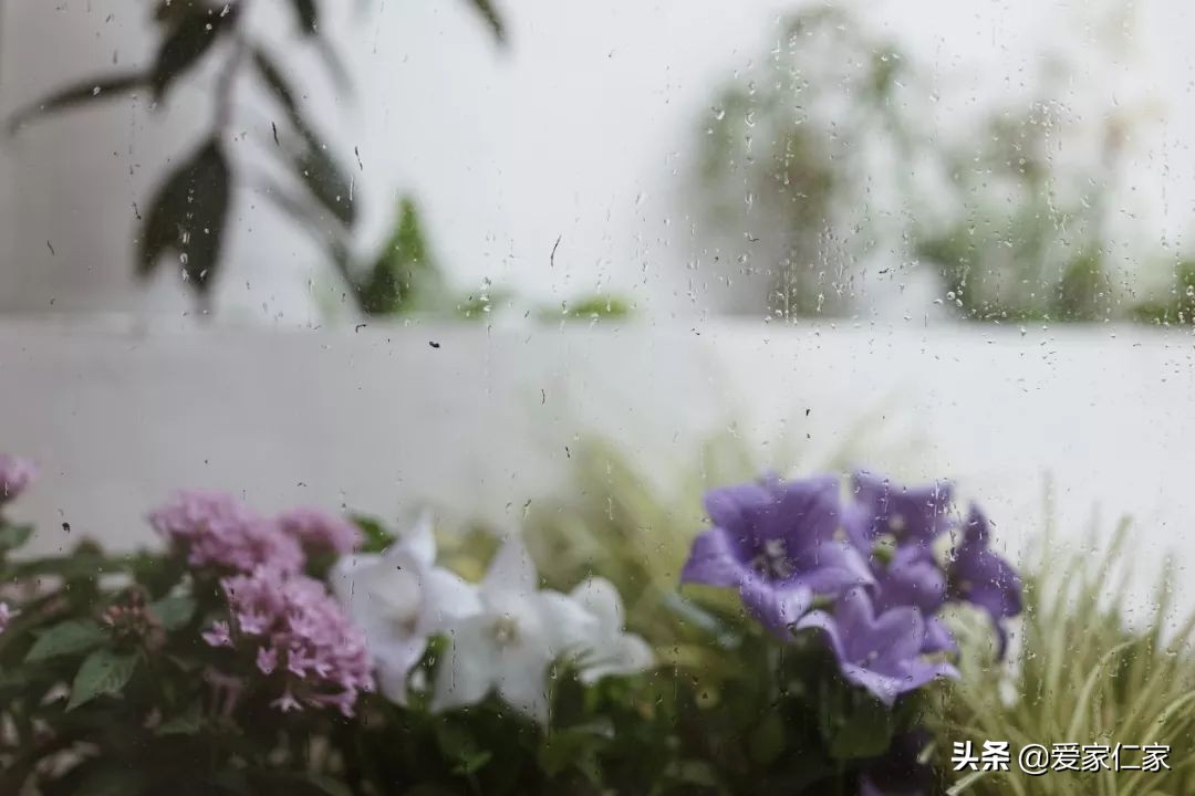 她买下32㎡上海老旧学区房,为女儿打造小桃园,还有超舒适大庭院