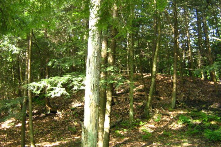 美军各种颜色迷彩服,美军迷彩服大全详解