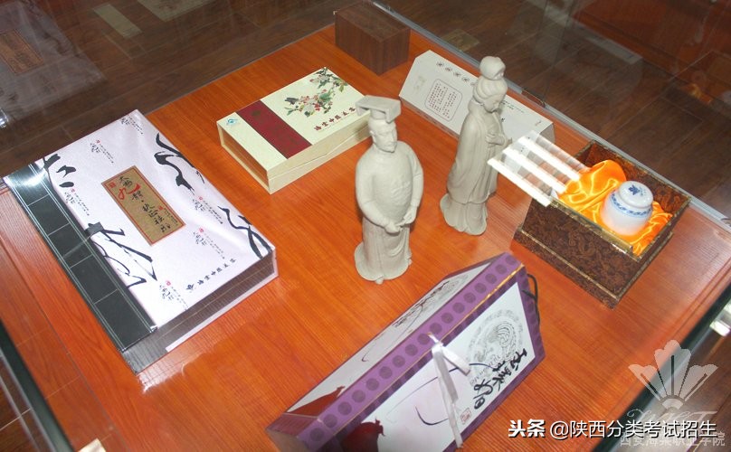 西安海棠职业学院学费,西安海棠职业学院报名