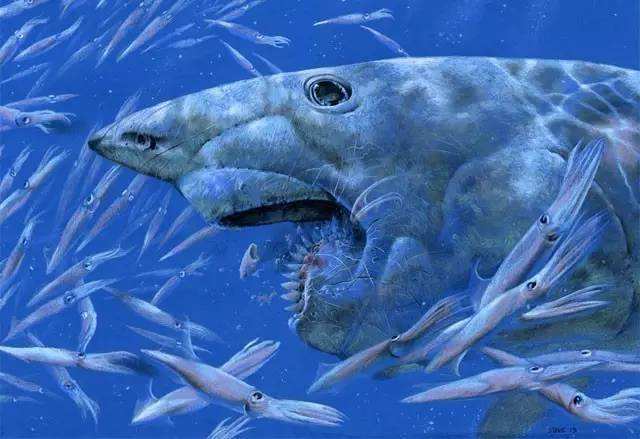 比恐龙还古老的鱼是什么鱼,恐龙时期的鱼类有哪些