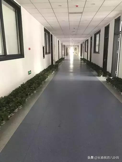 新建成的学校好还是老牌学校好,今年新建学校一览