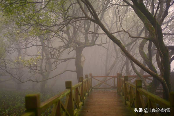 大洪山白龙池,大洪山风景名胜区白龙池