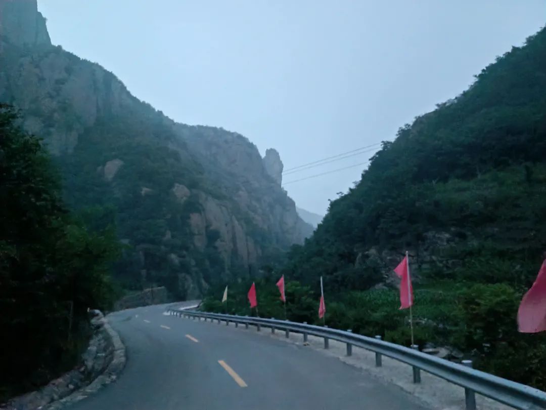 大山里的映山红图片,大山里的映山红歌曲