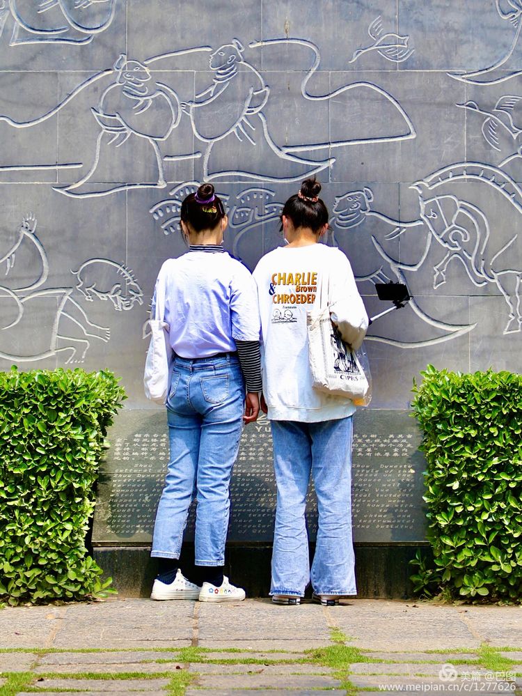 看洛阳牡丹花卉节,洛阳古都牡丹花展