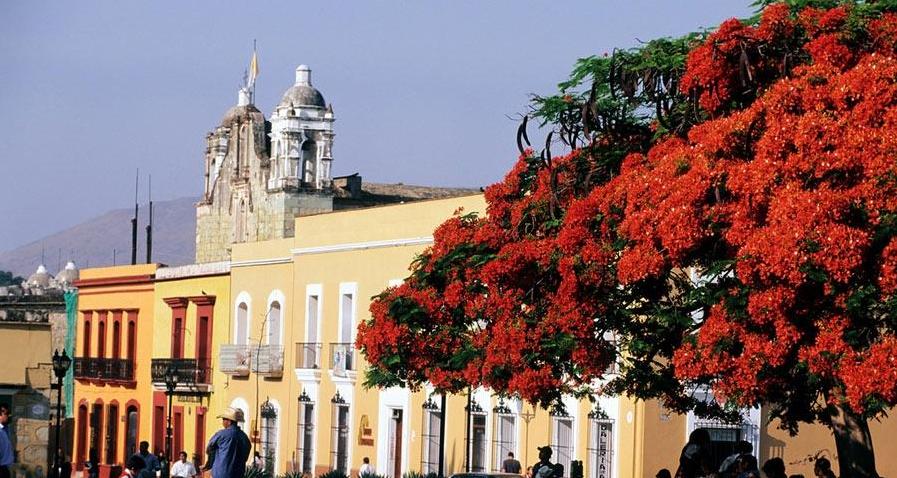 秋天适合去哪儿旅游,选择秋天去小兴安岭旅游的理由