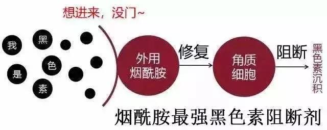 小红书安利翻车文章,小红书翻车全集