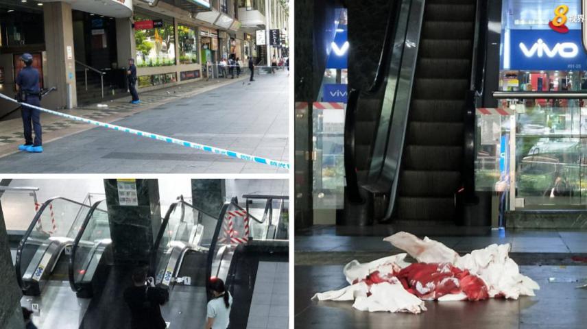 新加坡中国女孩命案,新加坡网红谋杀案