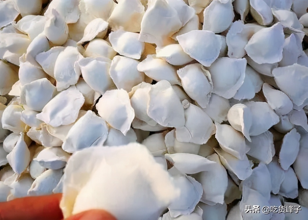 刚包好的饺子怎么放冰箱不粘连,冷冻饺子怎么放才粘不住