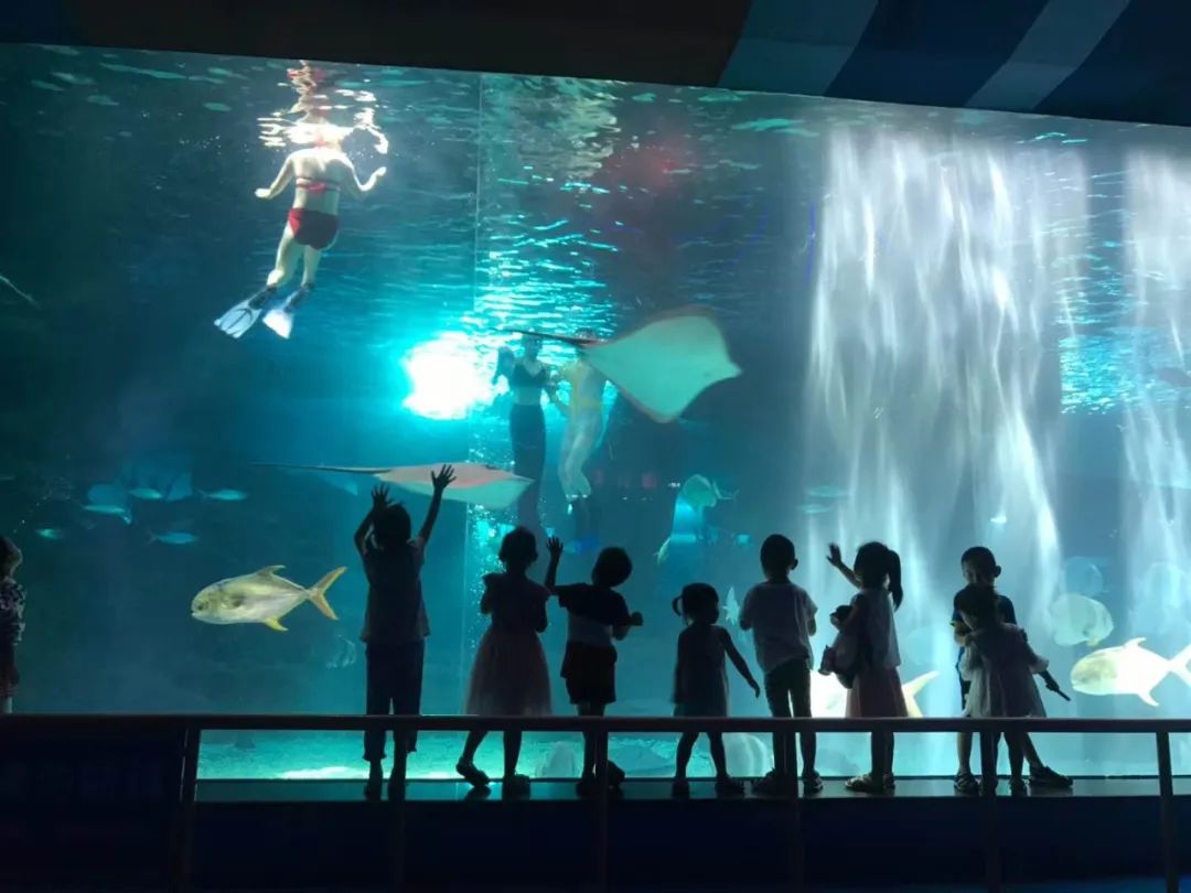 济南动物王国一日游详细攻略,济南一日游动物园