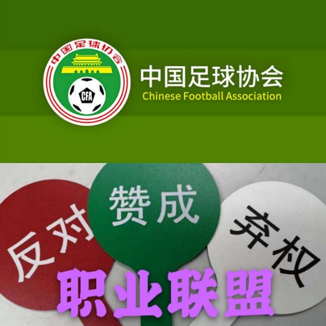 足协治理下的国足走向,中国足球足协现状