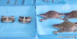 死螃蟹吃了真的会中毒吗,吃隔夜蟹的中毒症状