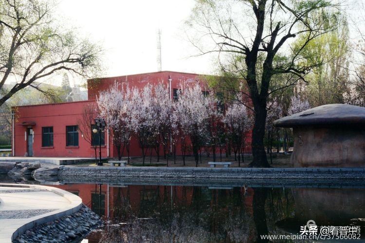 山西农大美丽的校园,山西农大校园风光