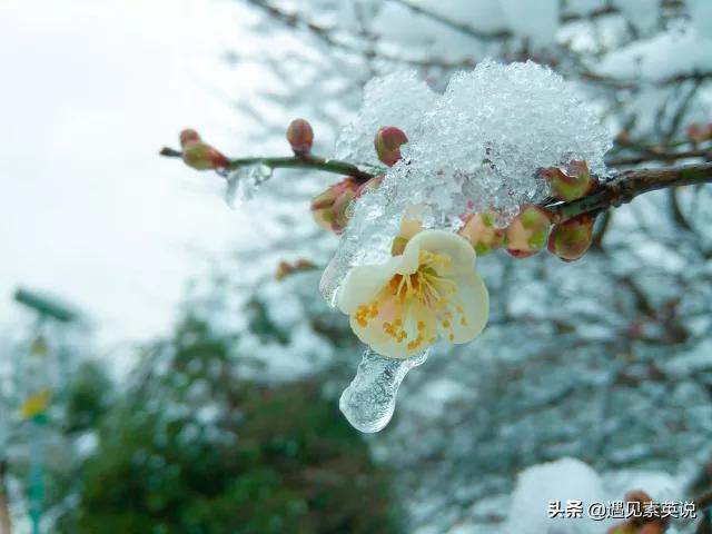不花钱就难受的病怎么治,花钱专治不开心