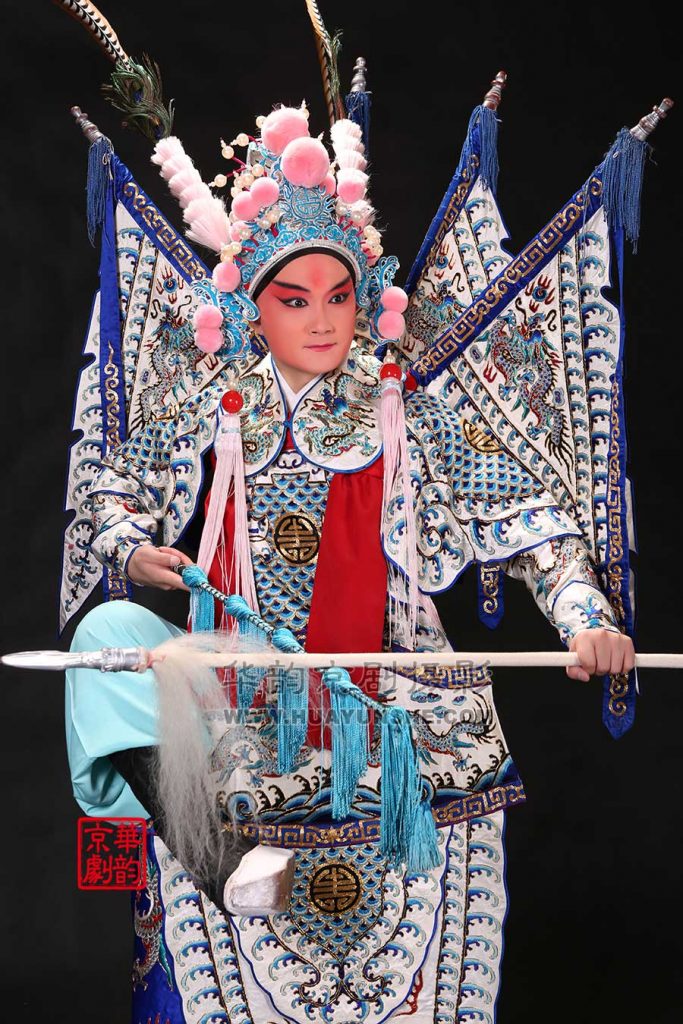 佘太君杨六郎杨宗保杨文广的关系,杨家将人物故事