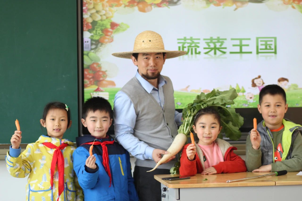 河西区公办小学,南京河西南有哪些好的小学