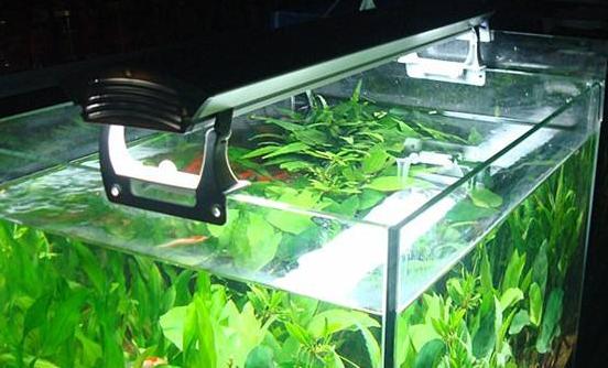 最好的冷却水箱,一般用多大的水箱好