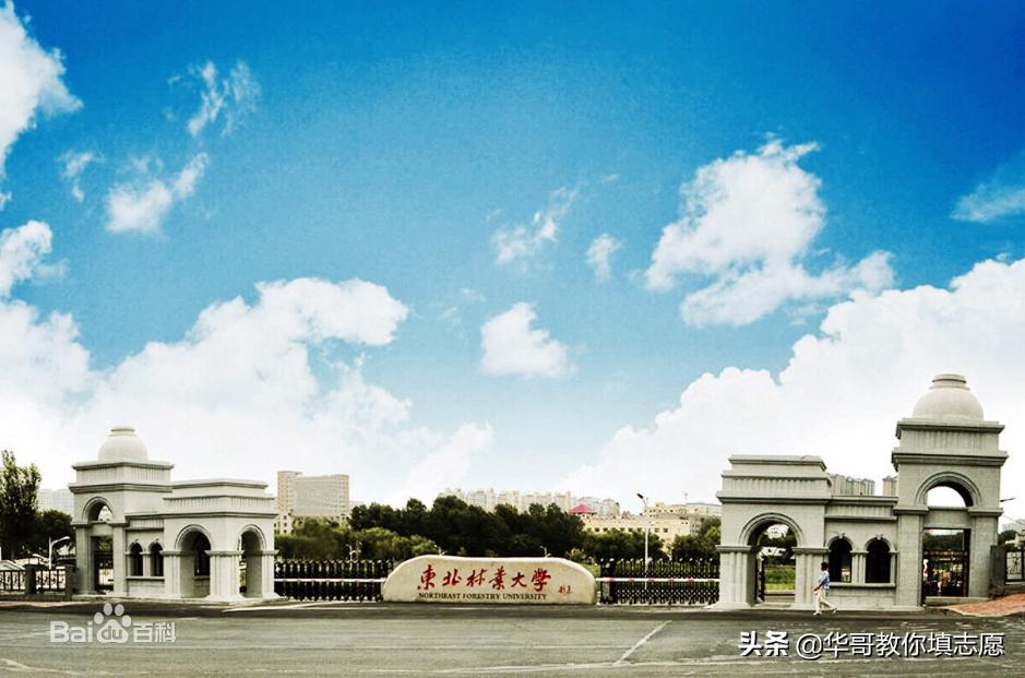 黑龙江的985和211高校,211的大学在黑龙江省的录取分数线