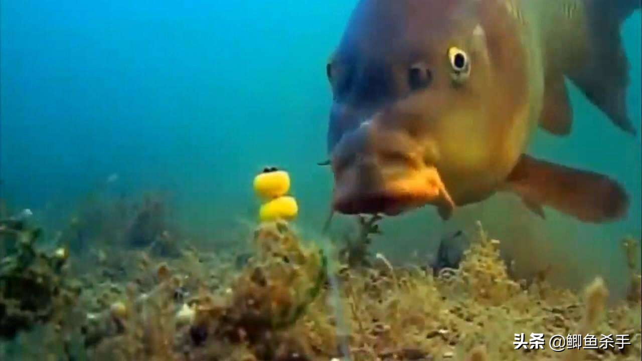 串钩钓鱼必备技巧,串钩钓鱼挂饵方法