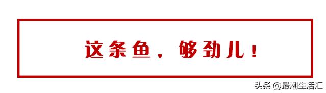 南山桂庙路附近美食店推荐,南山桂庙路附近美食