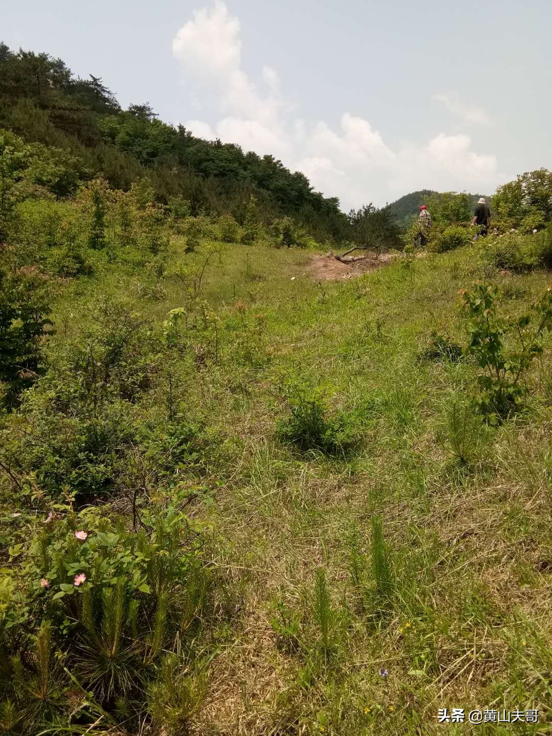 黄山最吓人景区,黄山爬山最吓人的地方