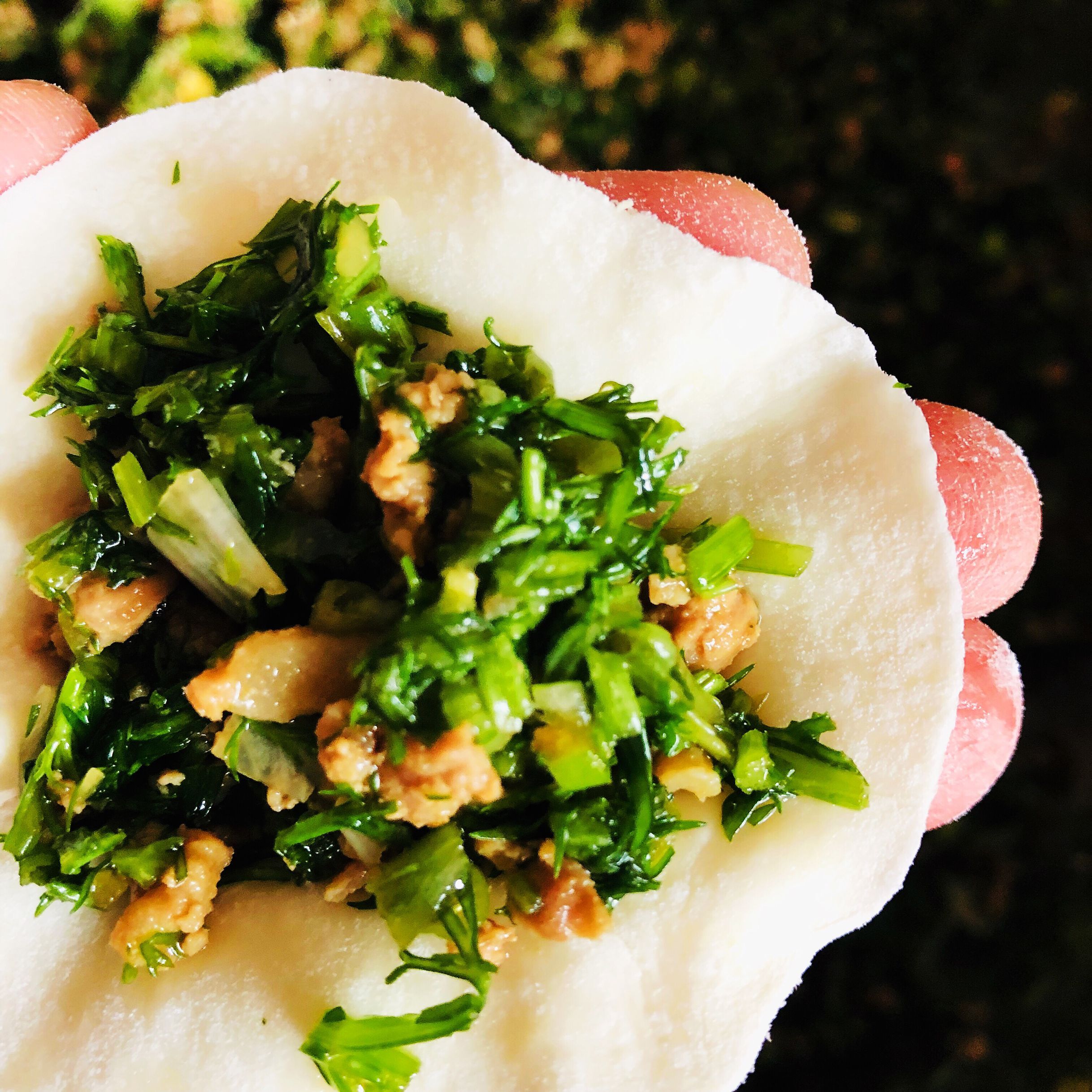 冬至小茴香饺子馅的做法,茴香香菇饺子的做法大全