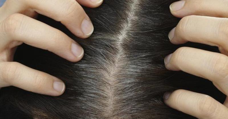 花青谷黑芝麻丸,美味的黑芝麻粉推荐