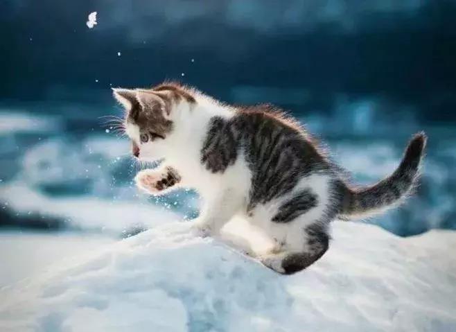 现在的全科医生在卫生院有前途吗,诊所的医助工作怎么样