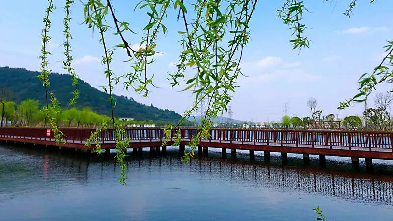 未来的杭州西湖,浙江杭州新西湖