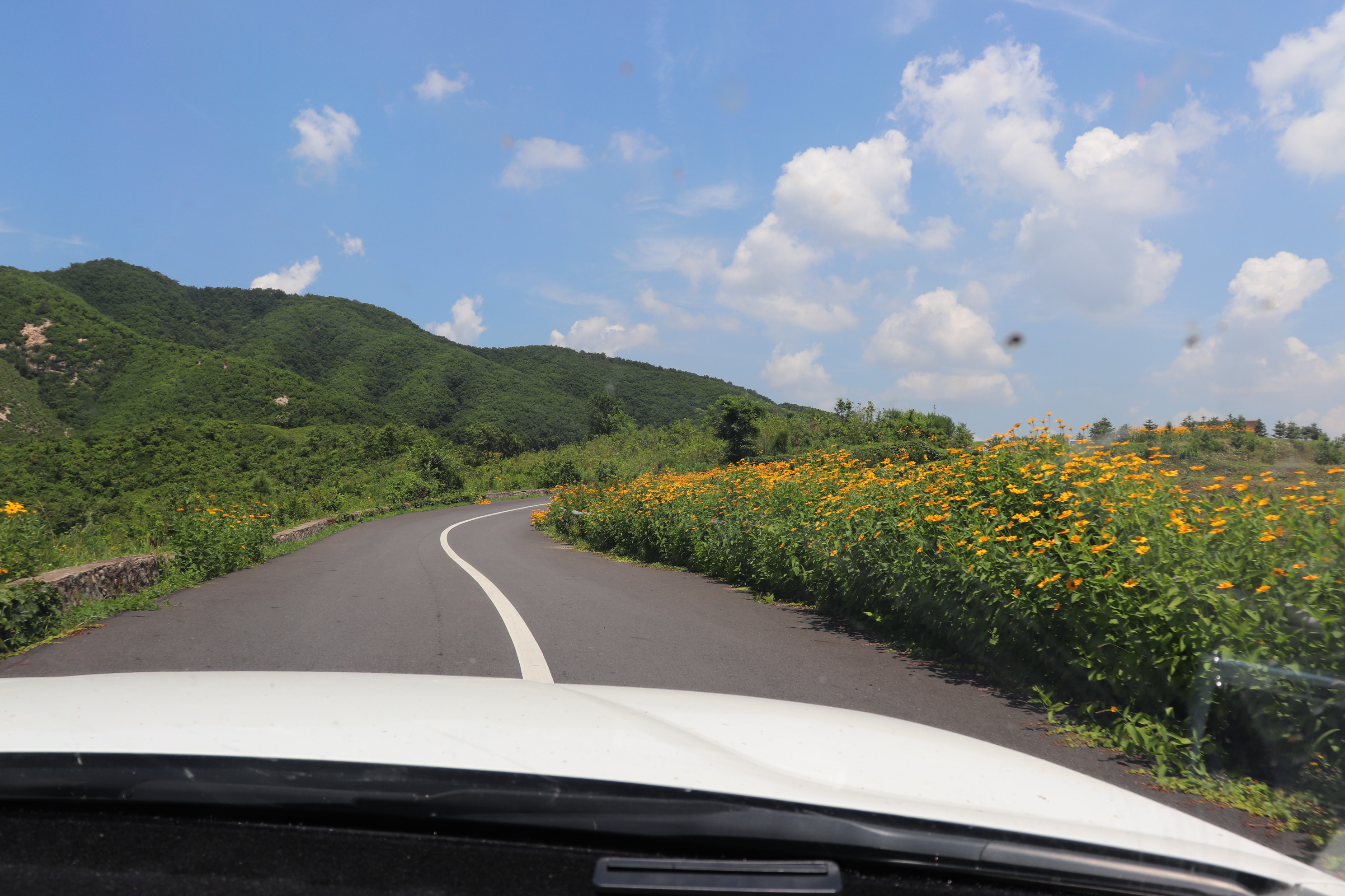 宝马3系325li曜夜运动版2023操控,宝马3系325li运动版长轴操控说明