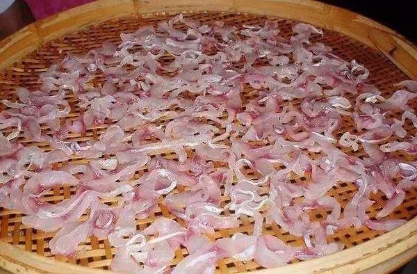 家常菜15道菜客家菜,客家菜太好吃了怎么形容