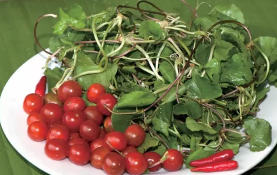 云南傣族野菜蘸水配方,野菜怎么做好吃法大全视频