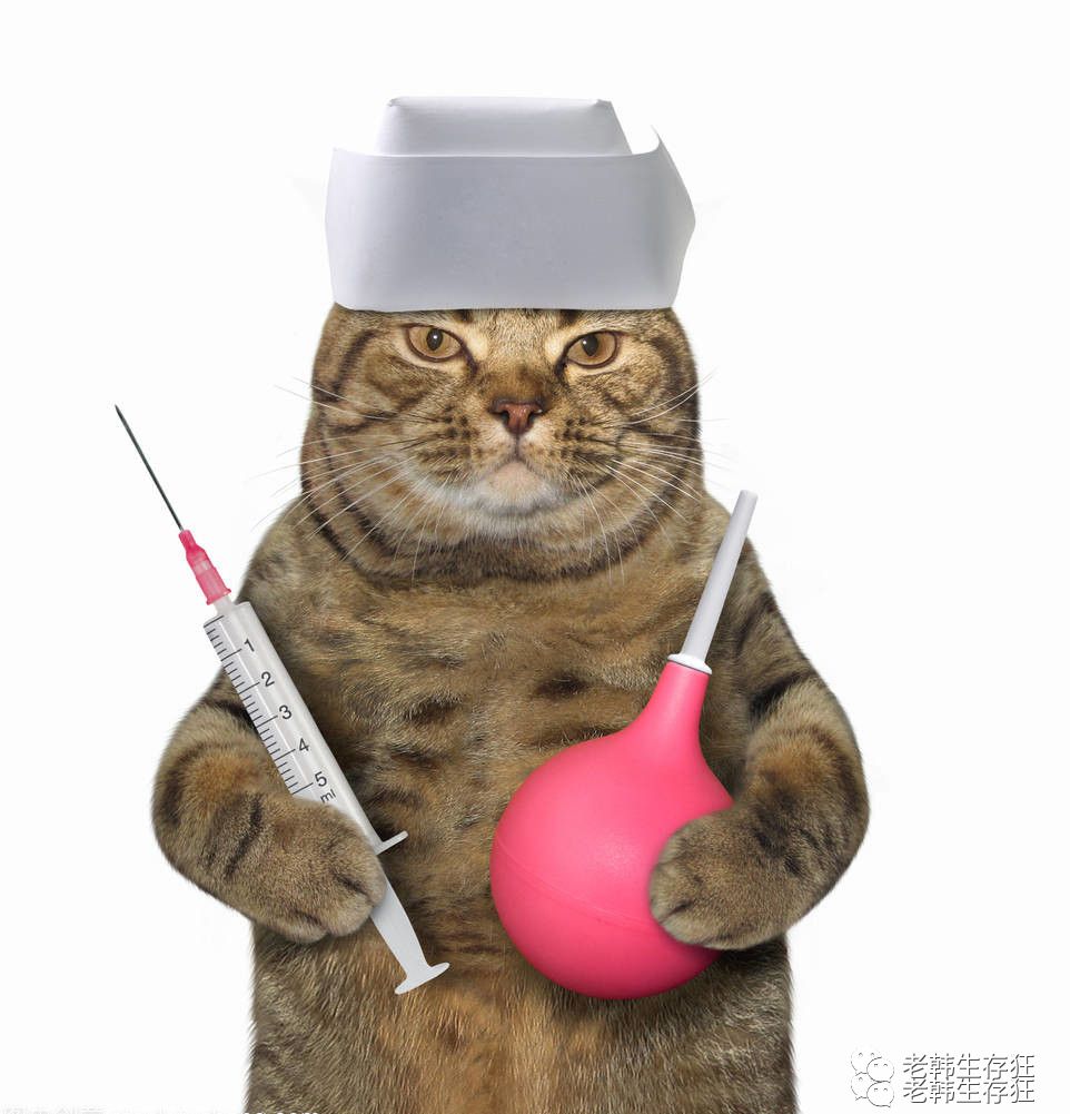 地震求生与自救技巧,生存狂在野外怎么逃生