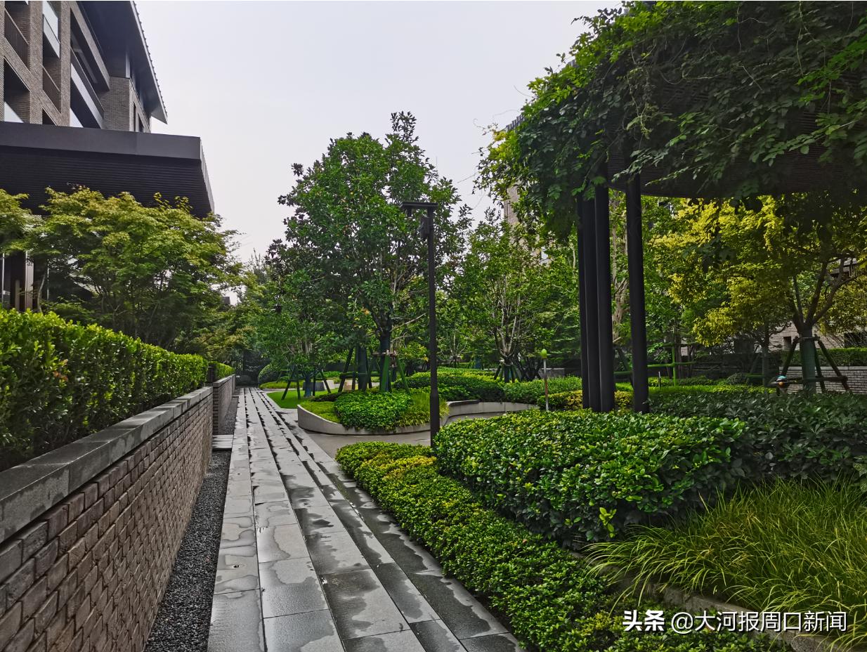 与美同程周口共鉴丨永威地市开山之作——永威·颐科东棠，郑州媒体行圆满落幕