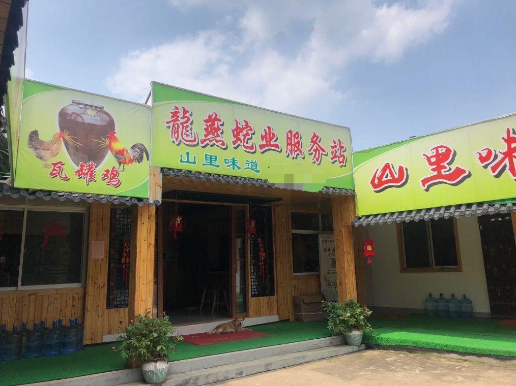 探访宜兴山区地下野味餐馆:依然有人顶风作案买卖穿山甲