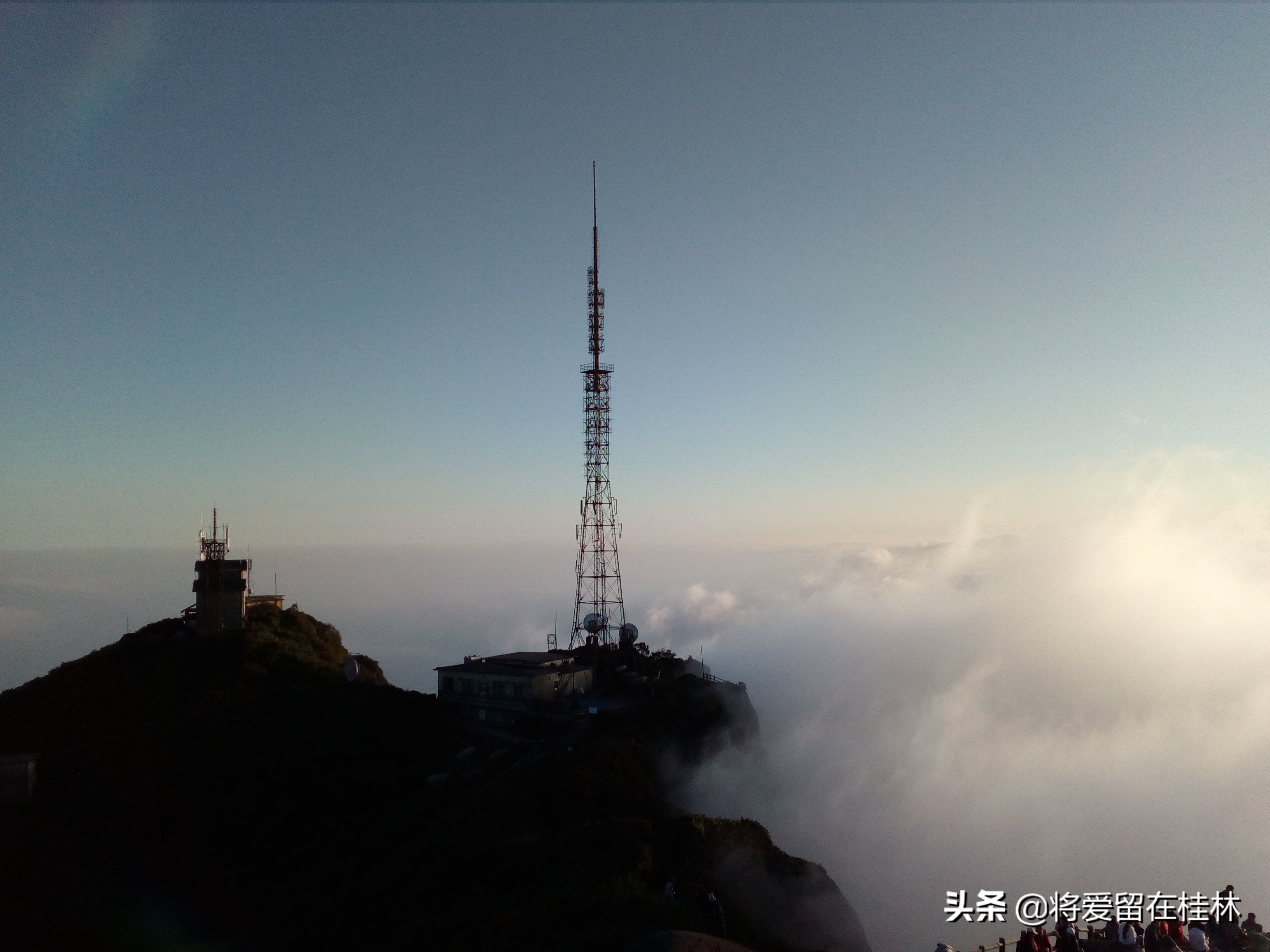 一路向北到桂林自驾游,一路向北柳州紫荆花
