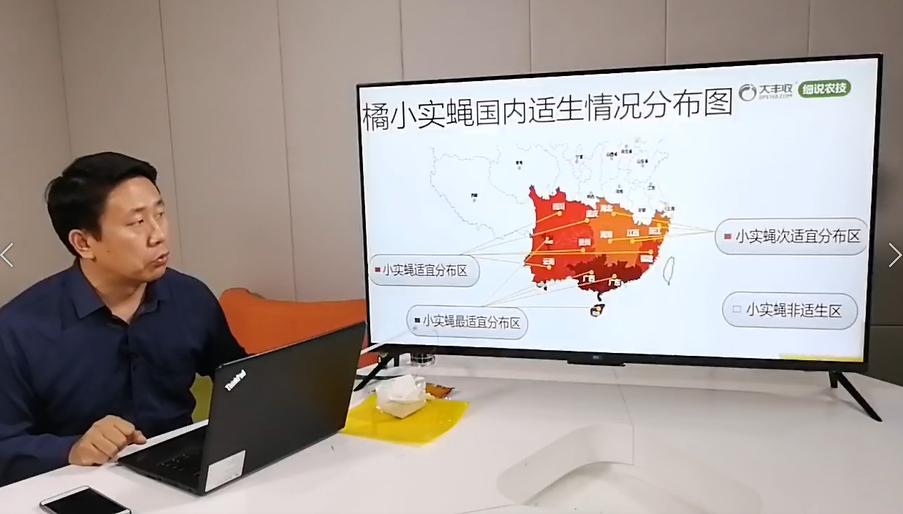 果树幼果防治,大实话果业谈果实蝇防治