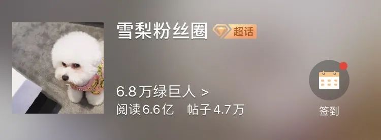 雪梨打戏,雪莉强势回归