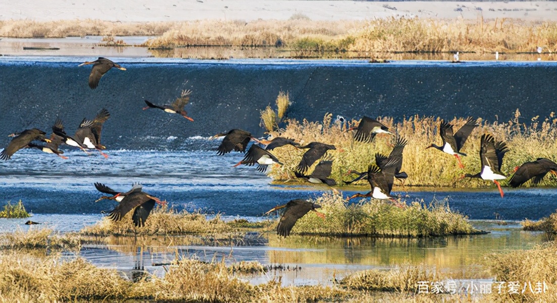 张家口旅游免费景点,张家口旅游攻略草原天地图